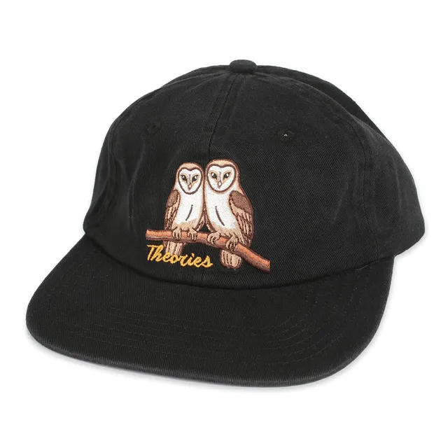 Theories Not What They Seem cappello strapback nero cotone