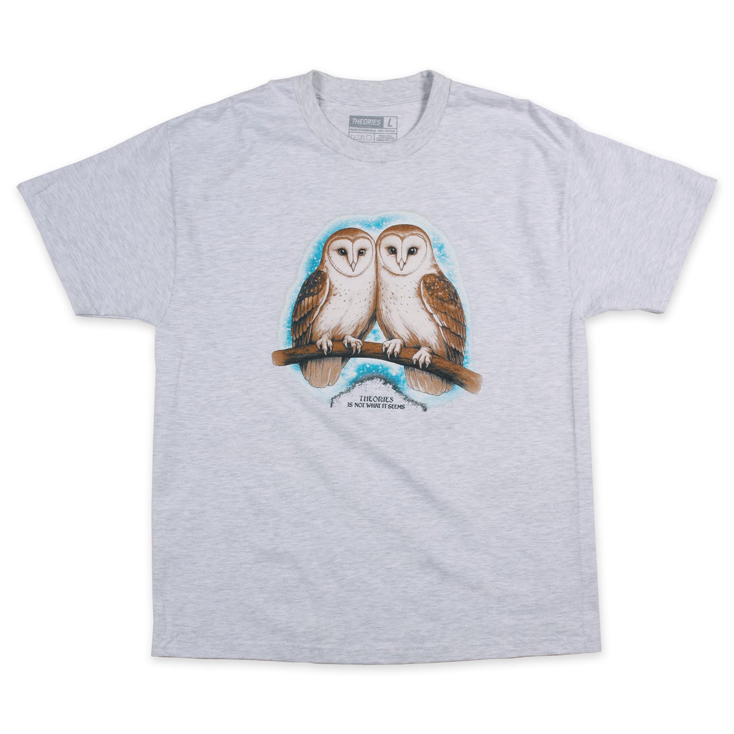 Theories Not What They Seem t-shirt ash M