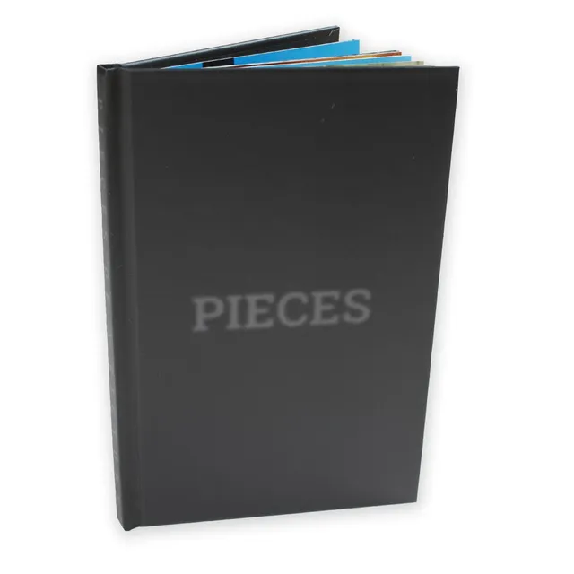 Pieces of a Picture fotolibro skate 80 pagine + DVD loop