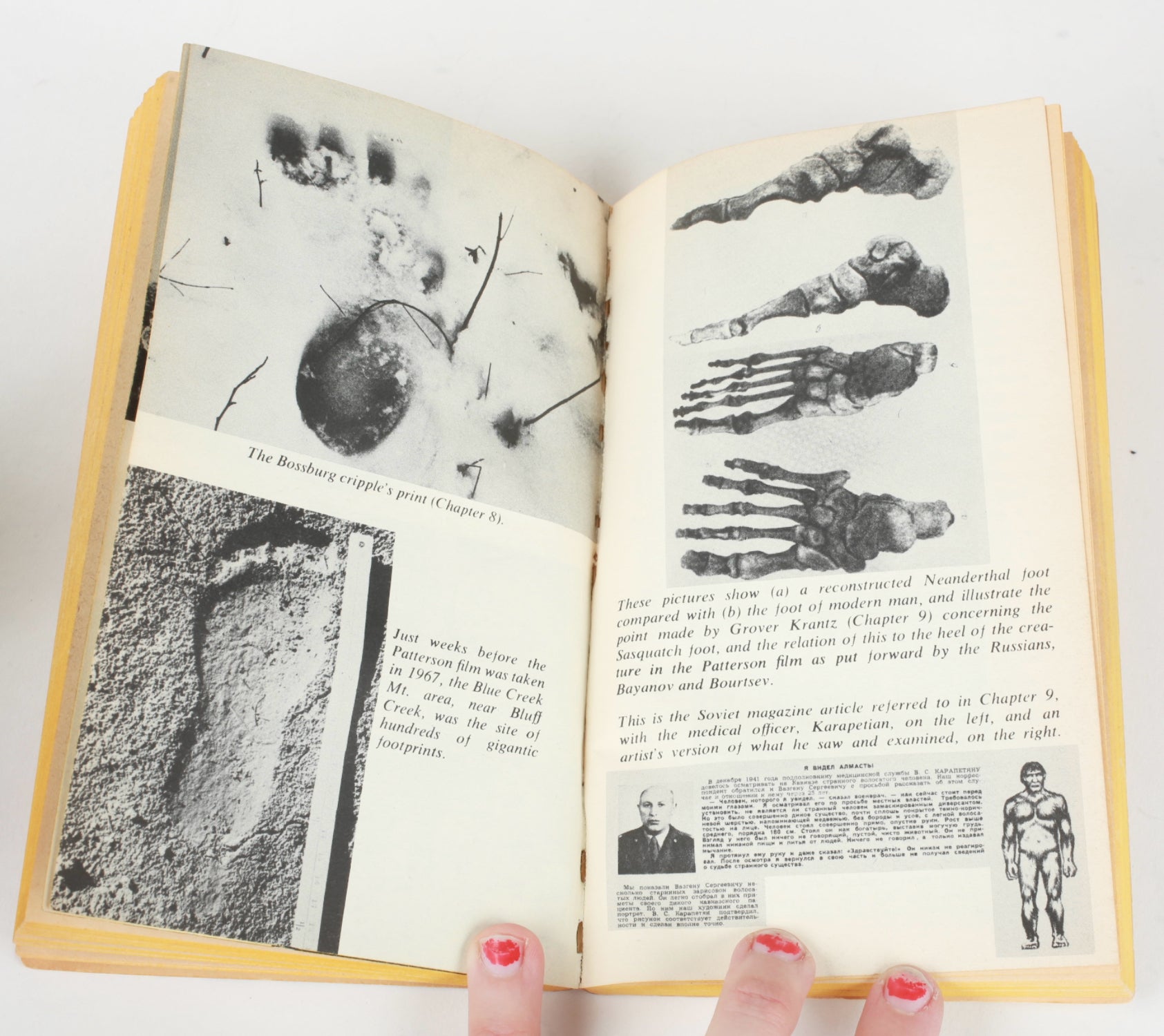 Don Hunter Sasquatch 1975 libro brossura vintage