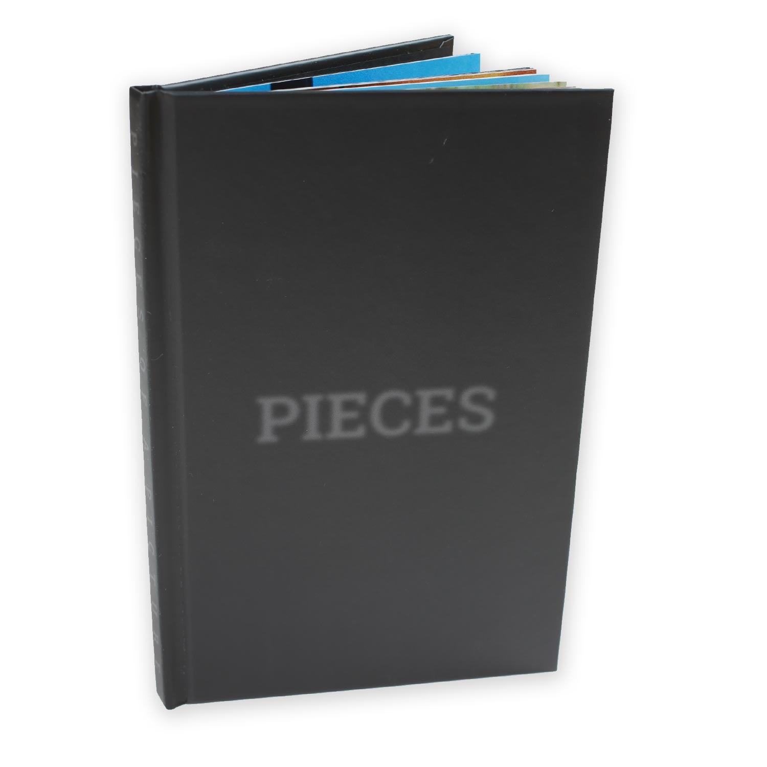 Pieces of a Picture fotolibro skate 80 pagine + DVD loop