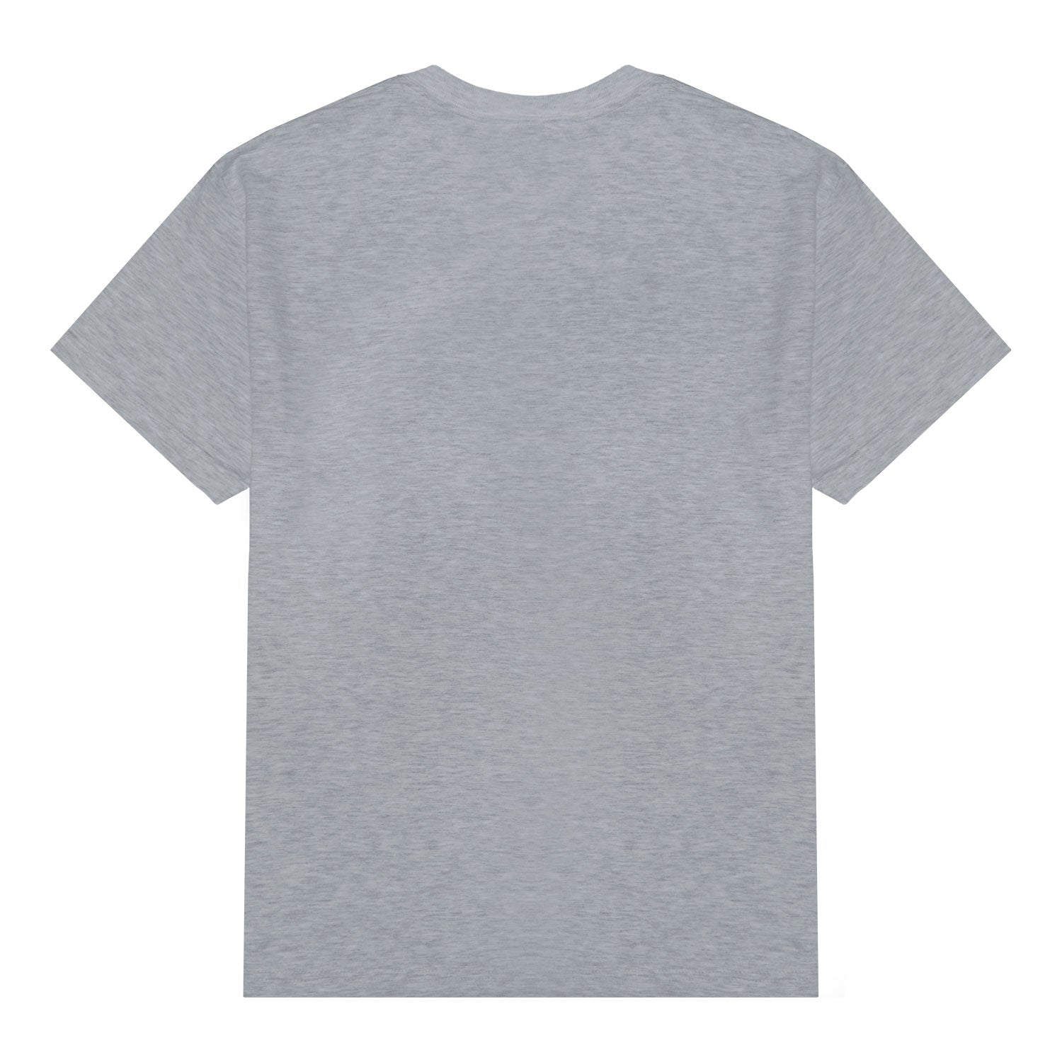 Alien Workshop Wake The Sheeple maglietta grigio cotone
