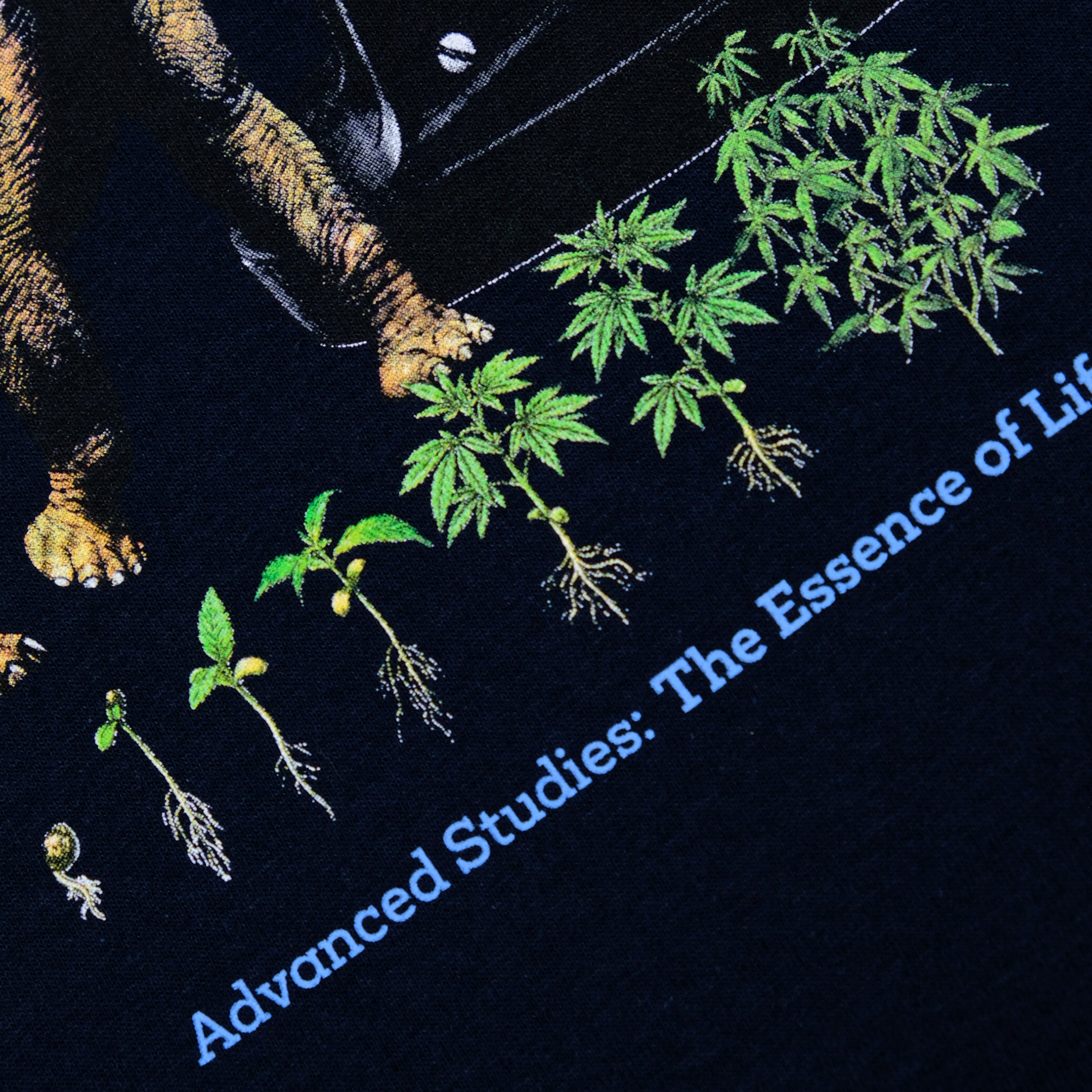 Snack Scientific Institute t-shirt nera cotone