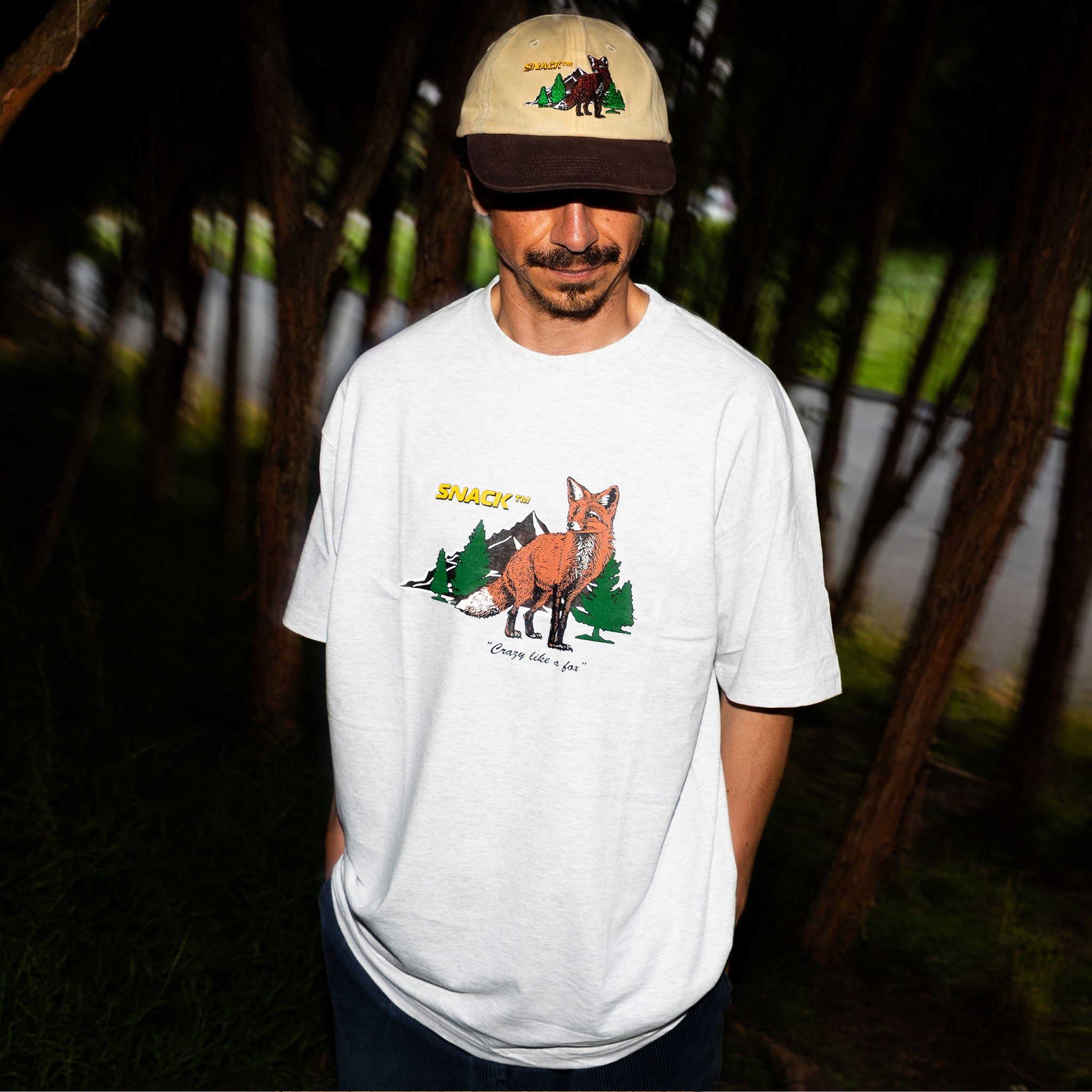 Snack Crazy Like A Fox t-shirt cenere