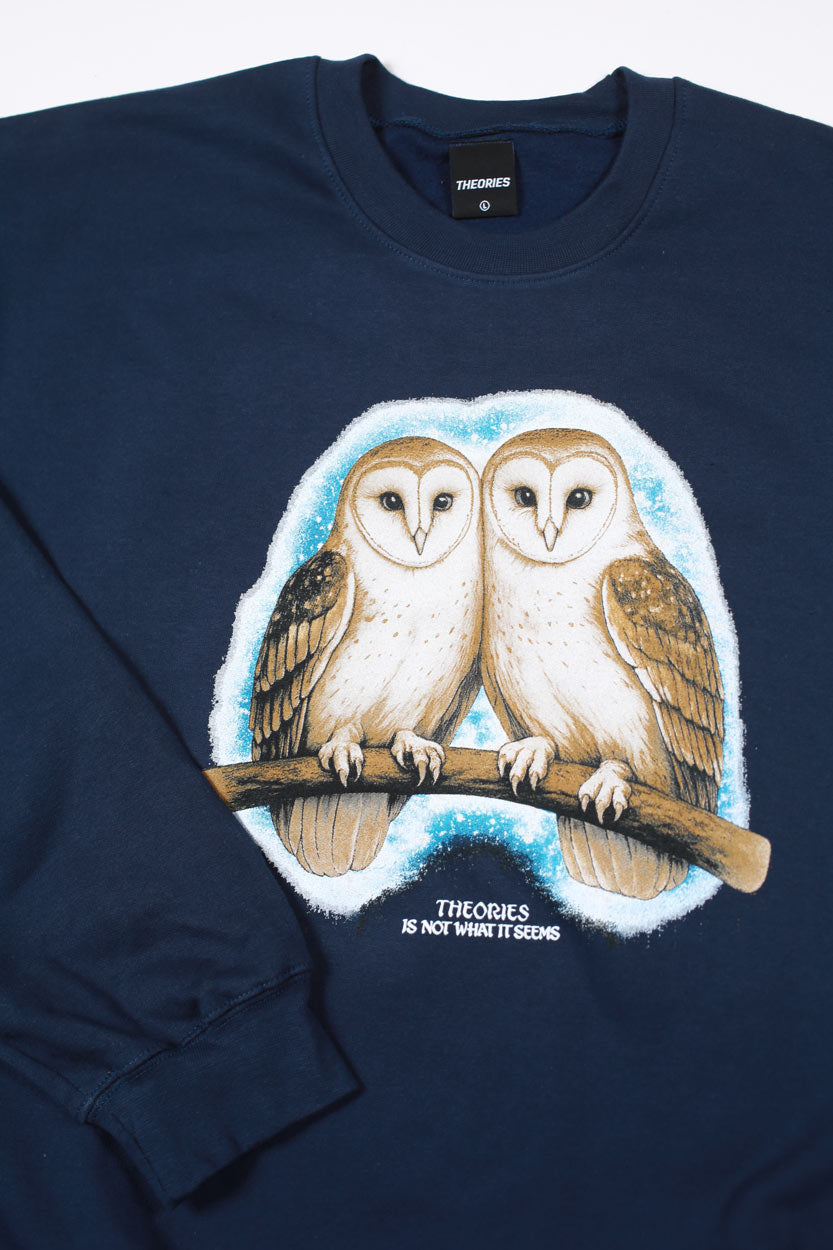 Theories Not What They Seem felpa girocollo blu navy