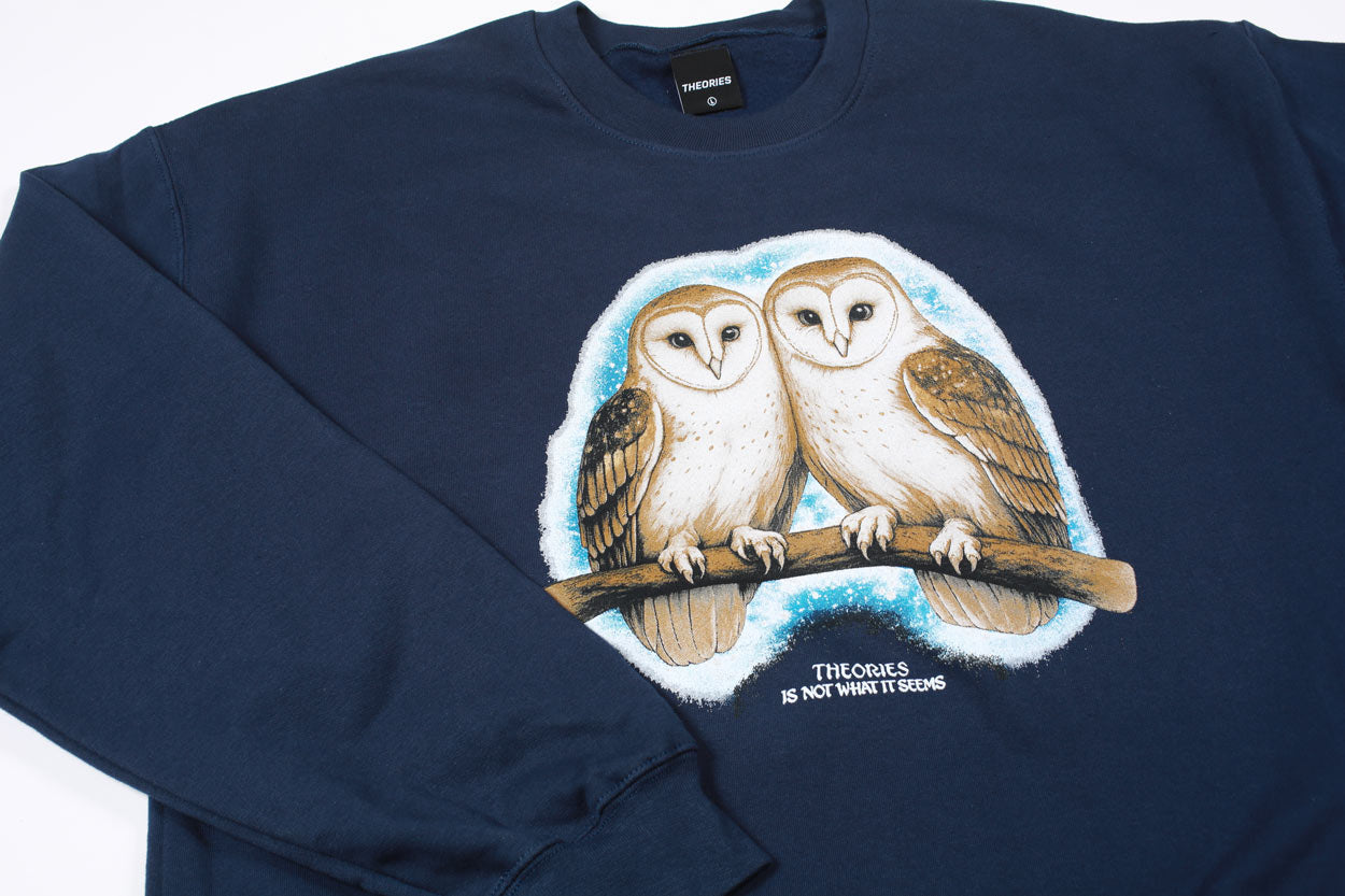 Theories Not What They Seem felpa girocollo blu navy