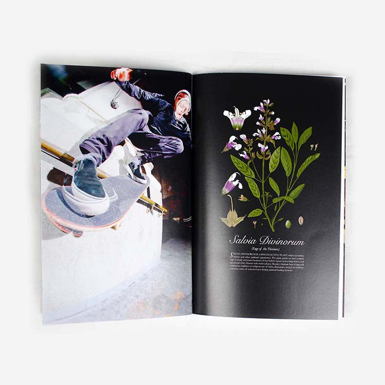 Snack Best of the Decade libro 2010-2019 40 pagine
