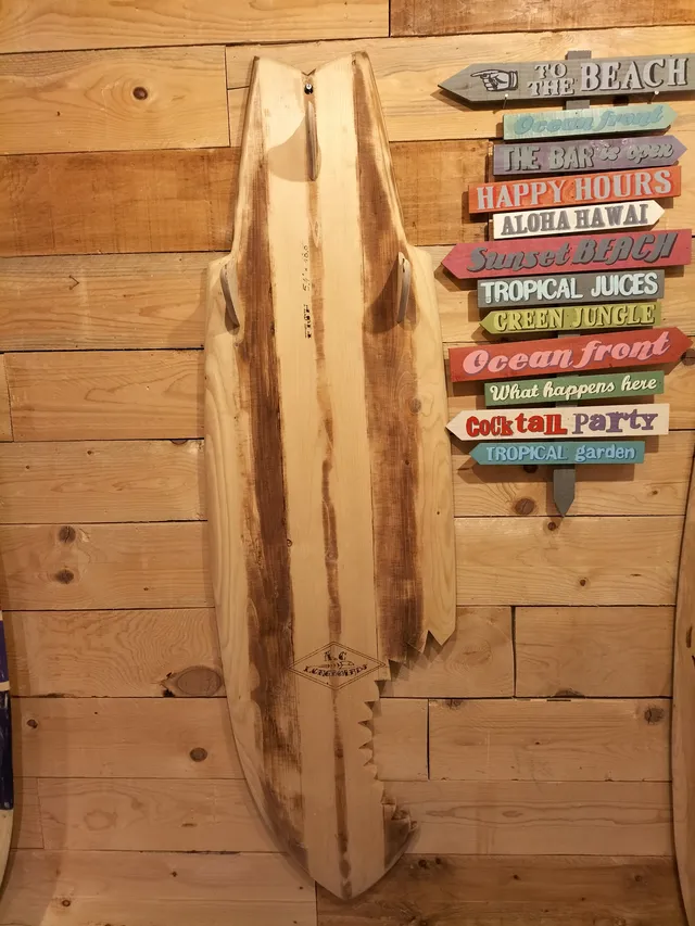 AC Longboards 5,7 Brown Line Shark Bite appendiabiti
