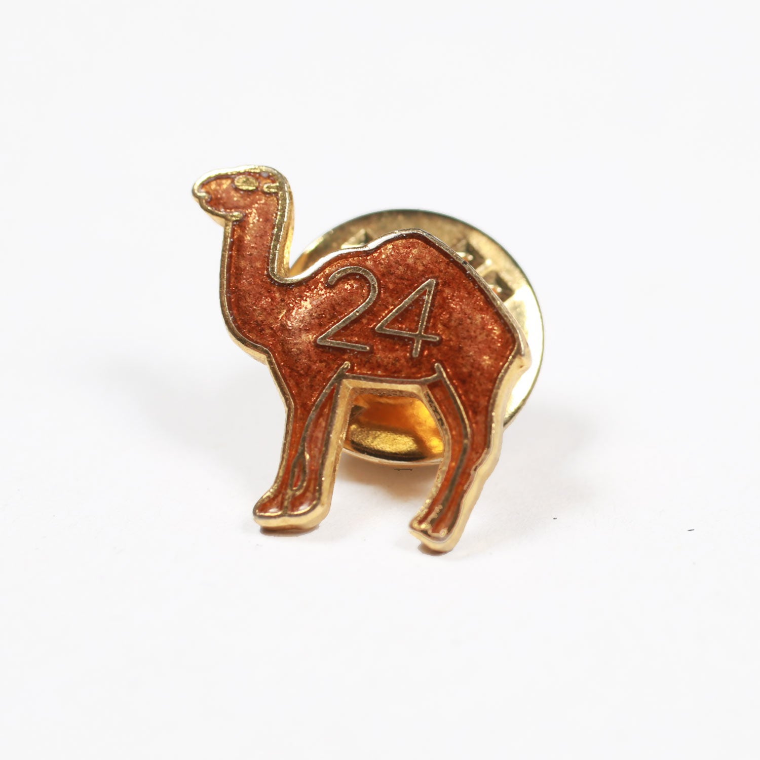Masonic Cammello 24 pin smaltata vintage 1 cm da giacca