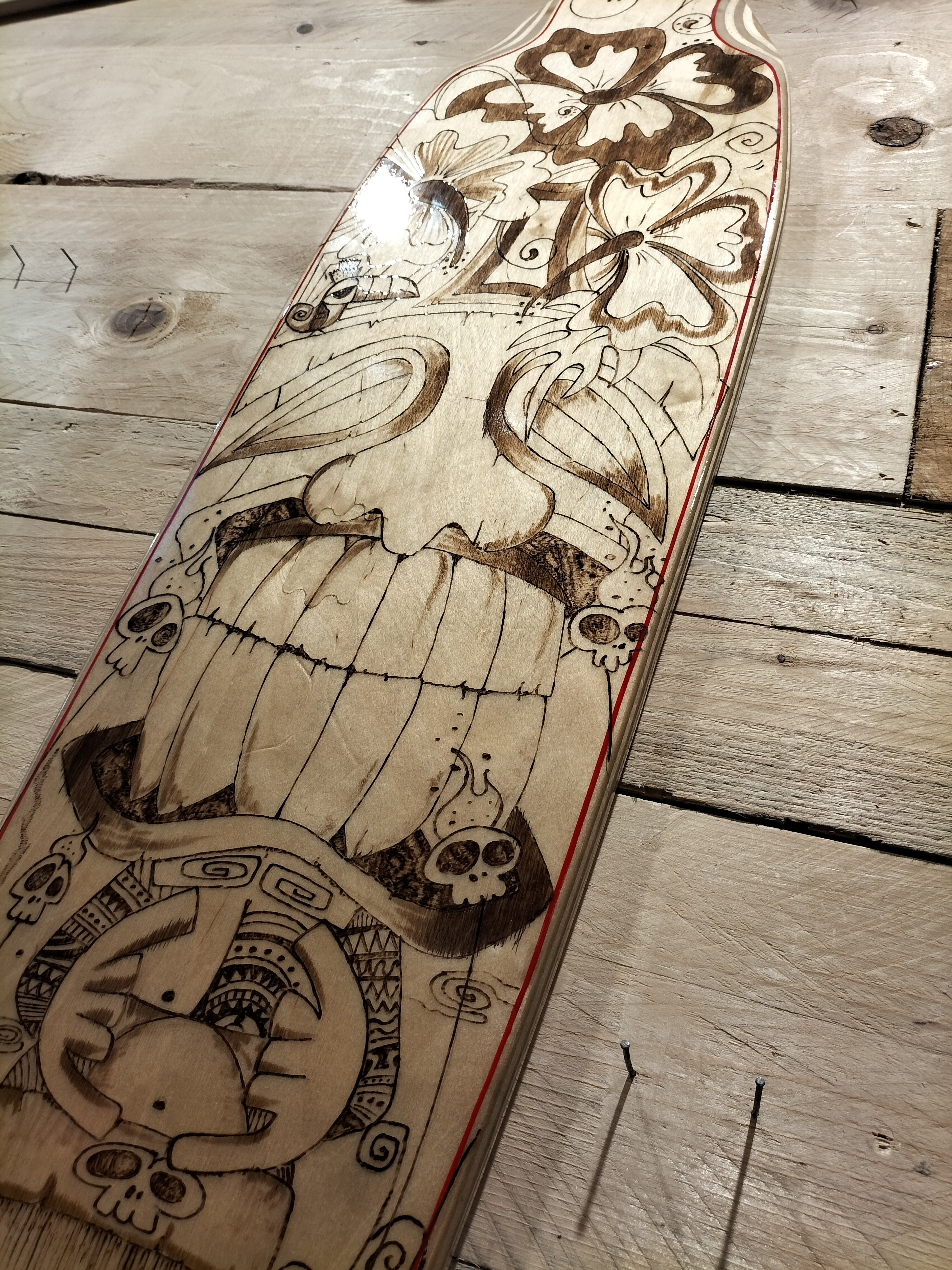 AC Longboards Tiki Super Long tavola pintail 155 cm flex