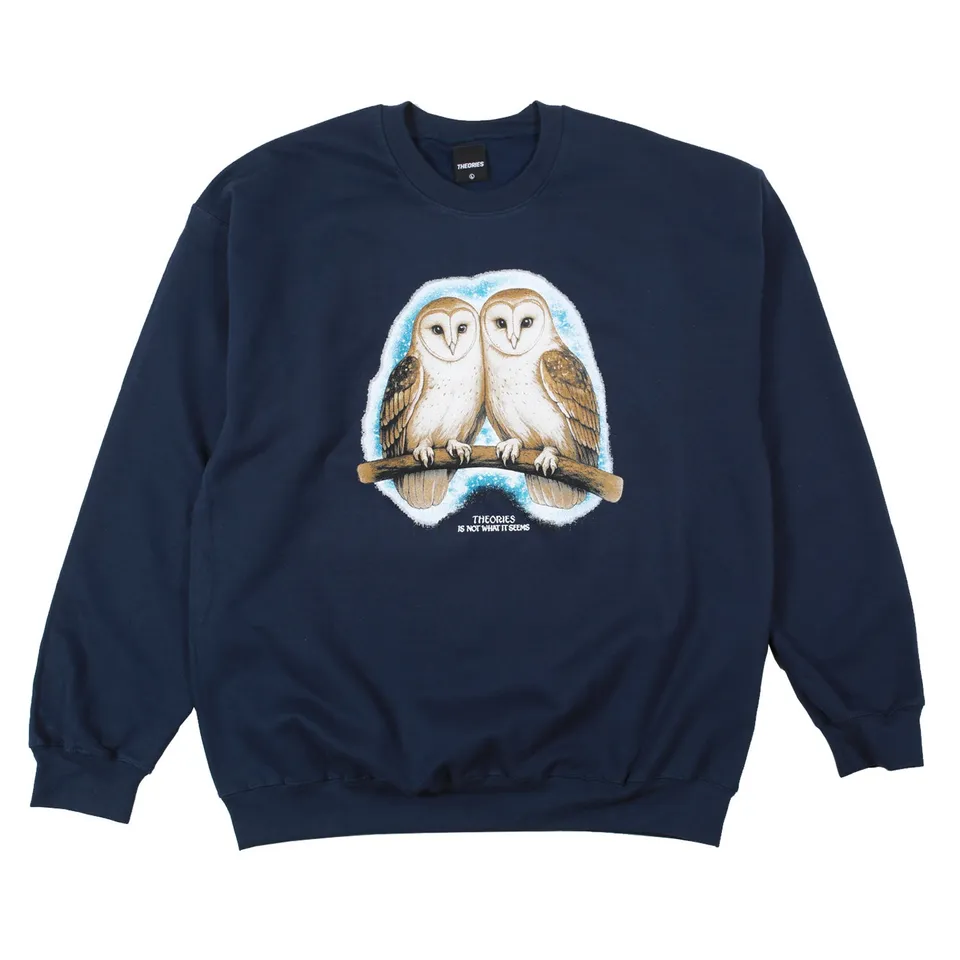 Theories Not What They Seem felpa girocollo blu navy