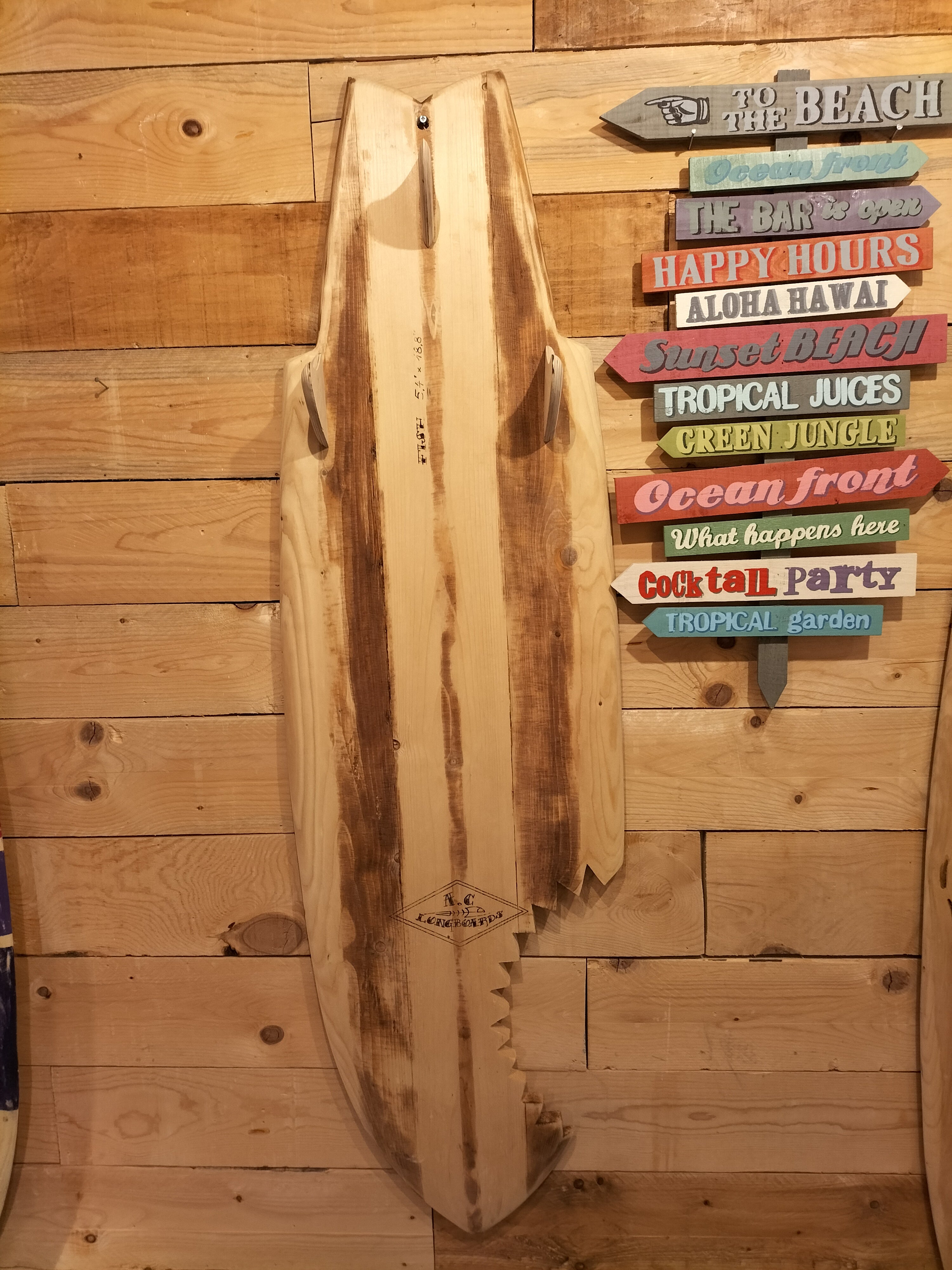 AC Longboards 5,7 Brown Line Shark Bite appendiabiti