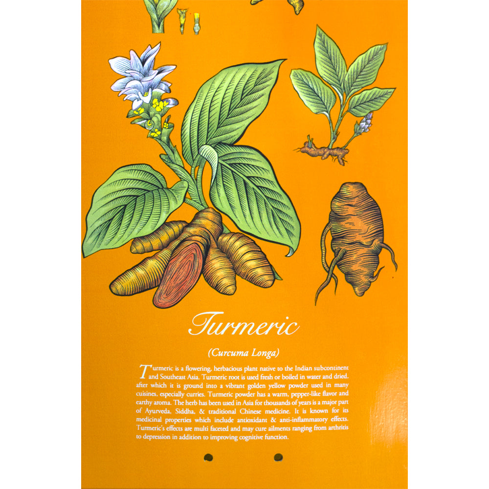Snack Williams Turmeric deck 8.25 legno d'acero