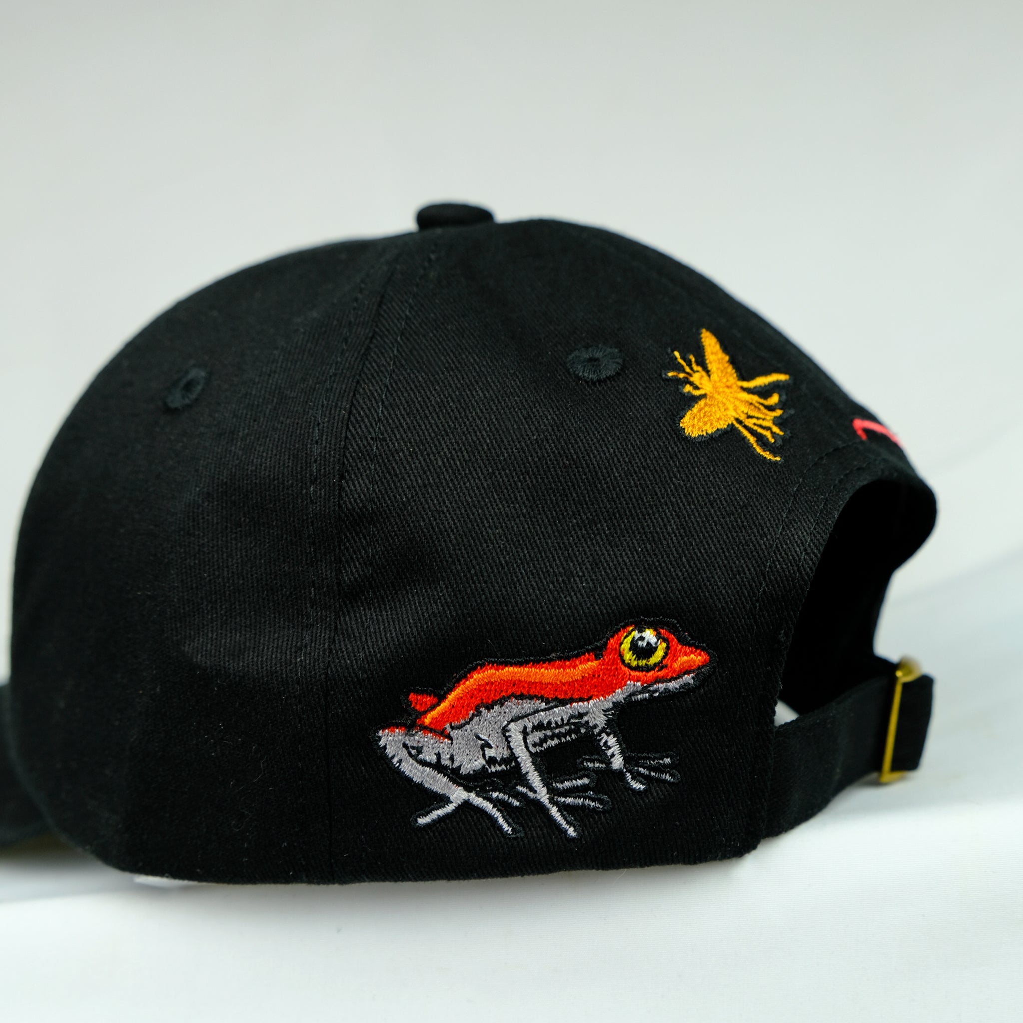 Snack Poisonous Darts cappellino canvas 6 panel