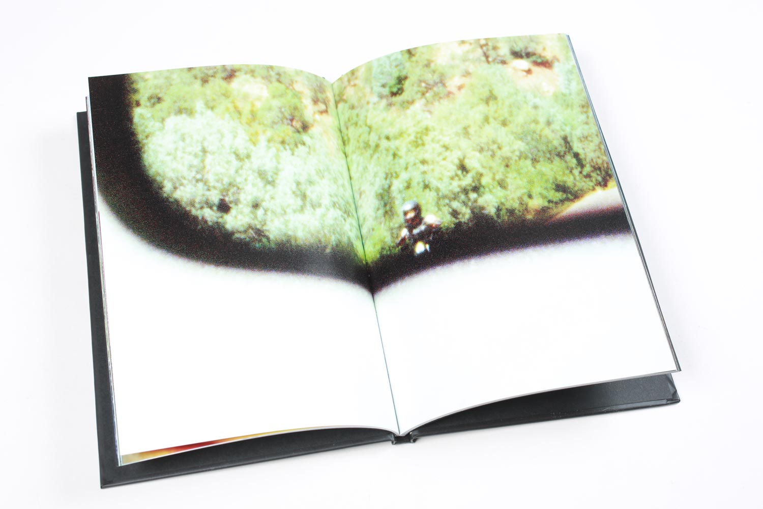 Pieces of a Picture fotolibro skate 80 pagine + DVD loop