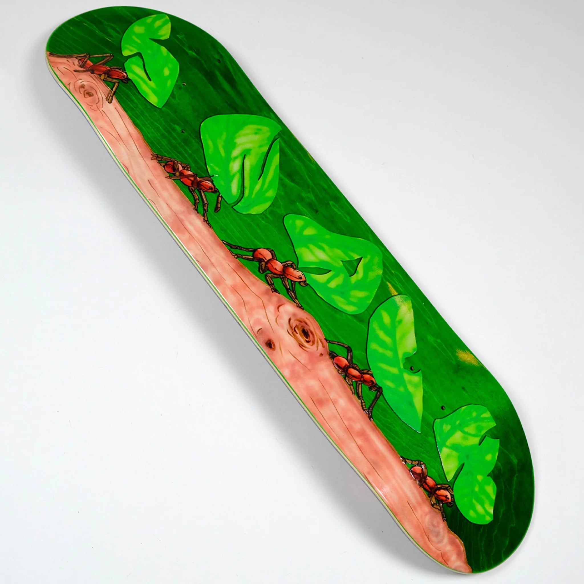 Snack Leafcutter 8.5 tavola skateboard acero canadese