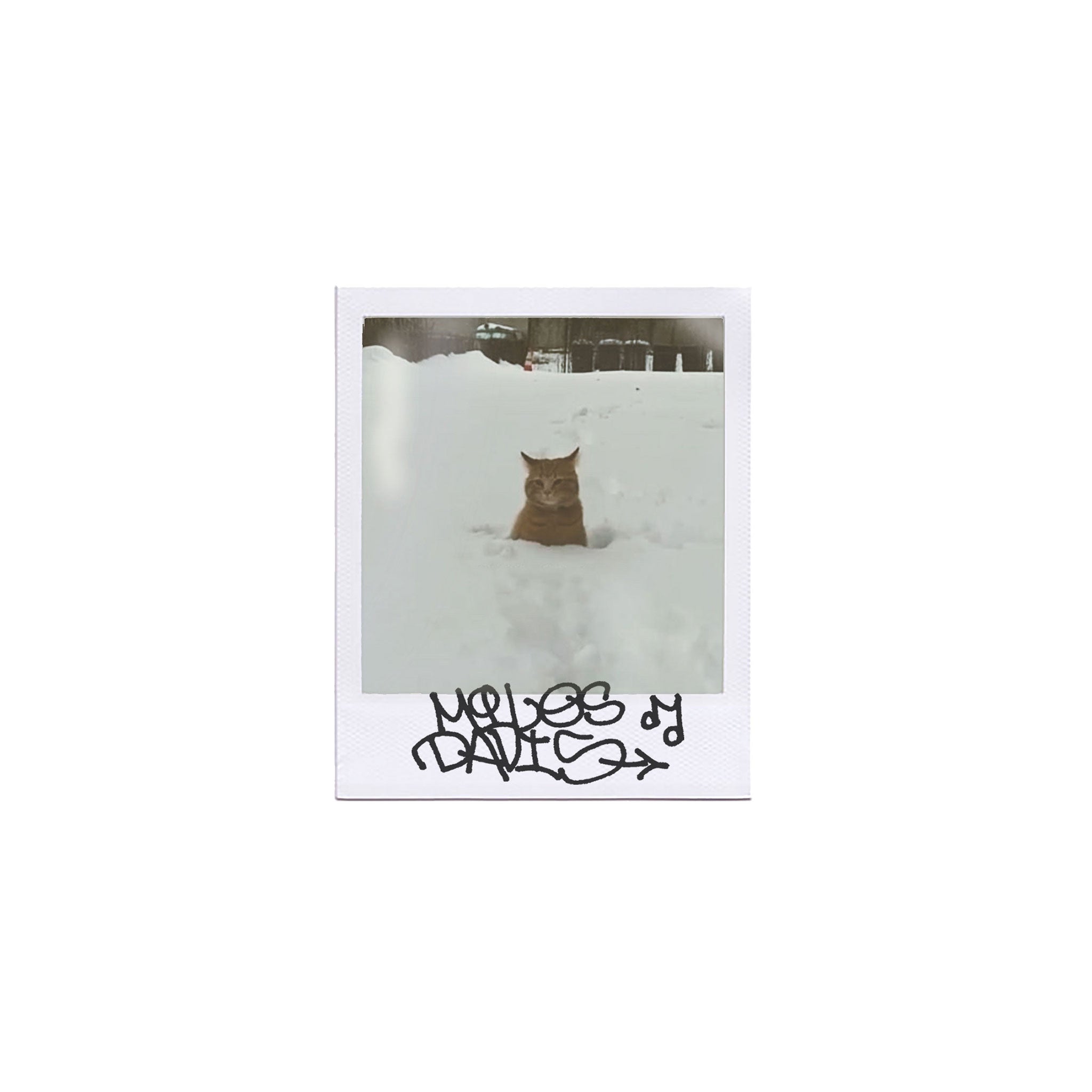 Snack Cullen Miles Davis tavola skate acero