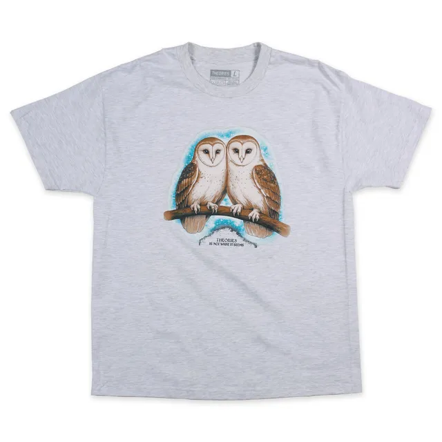 Theories Not What They Seem t-shirt ash M