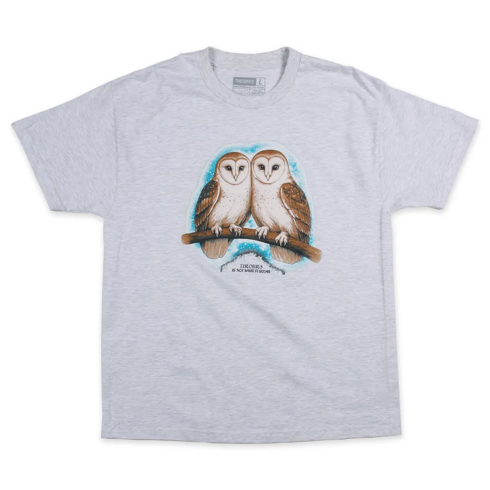 Theories Not What They Seem t-shirt ash M