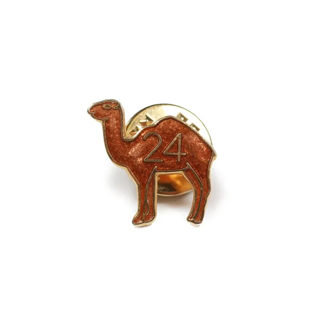 Masonic Cammello 24 pin smaltata vintage 1 cm da giacca