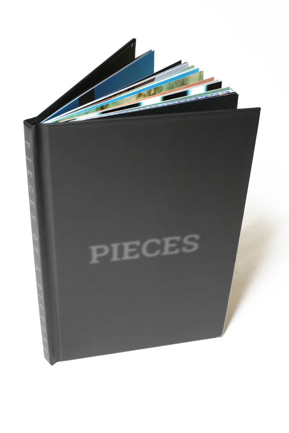 Pieces of a Picture fotolibro skate 80 pagine + DVD loop