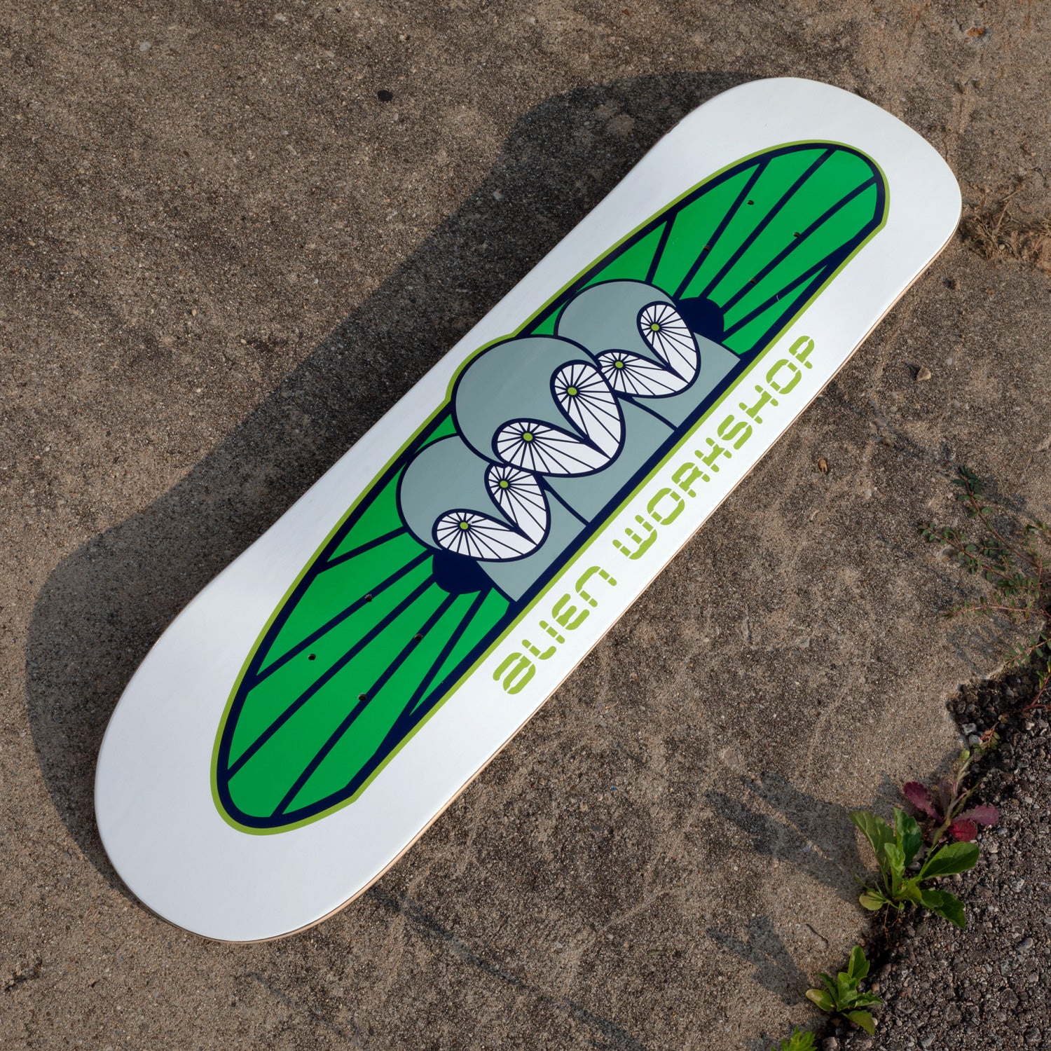 Alien Workshop Owliad tavola skate 8.25" acero