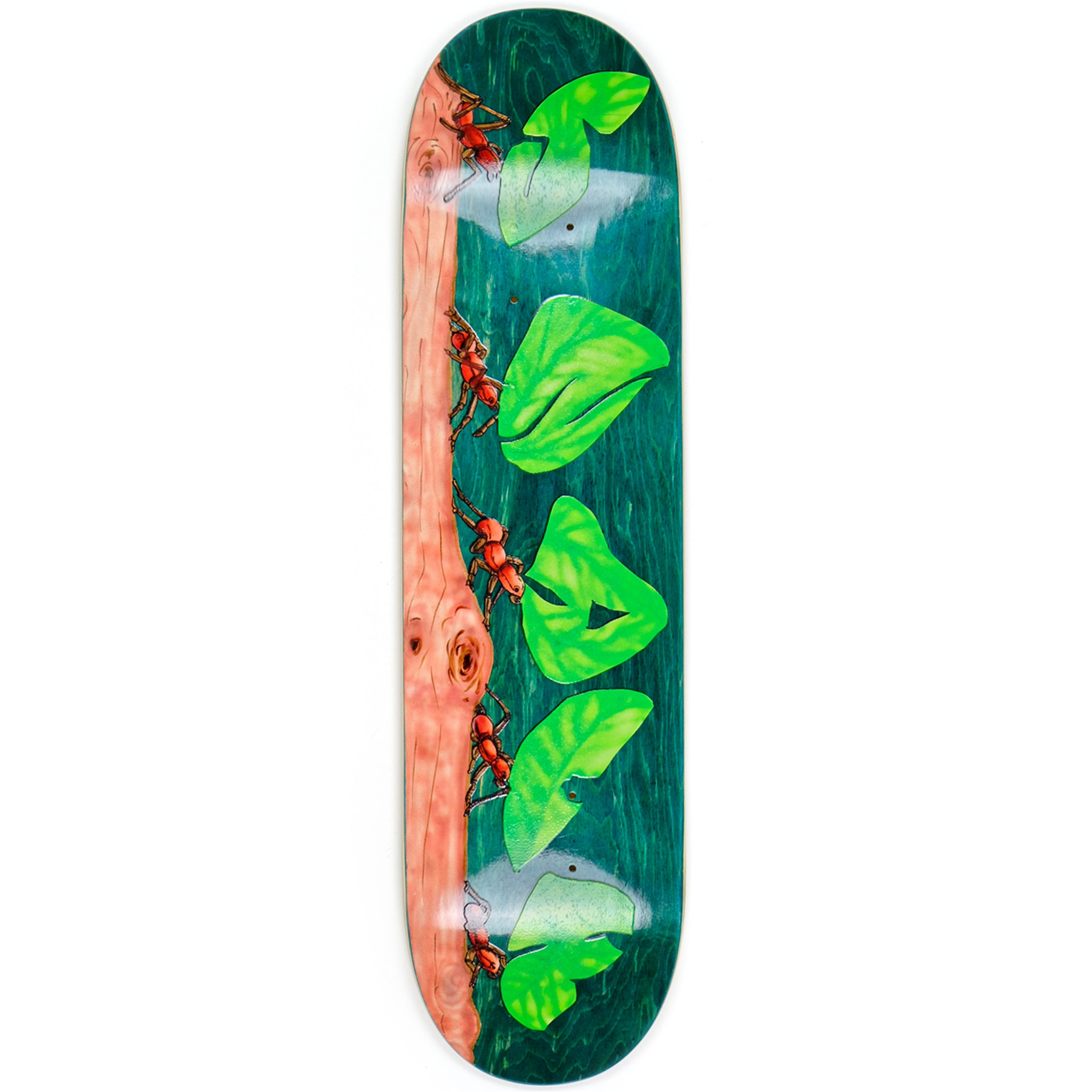 Snack Leafcutter tavola skate 8.25 SG